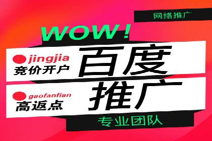 SEM代理助力品牌：案例解析，优化策略全揭秘